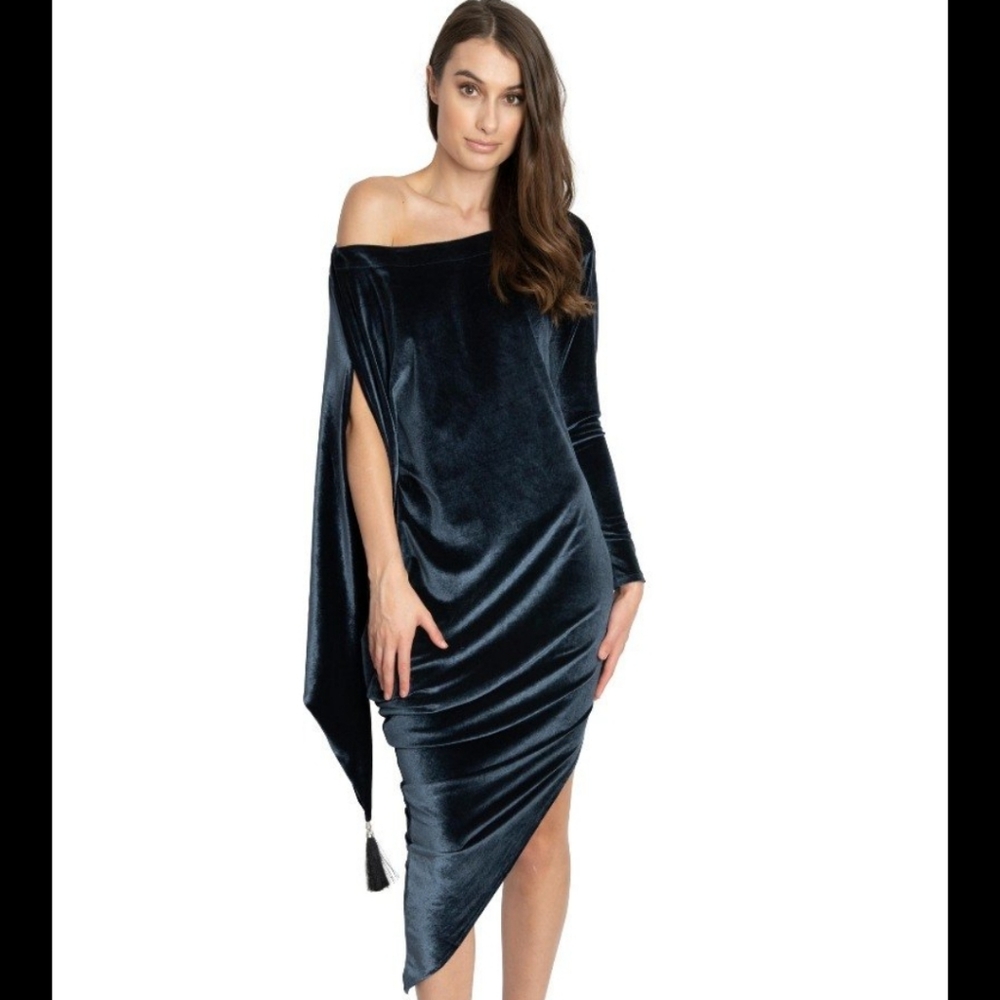 Velvet Jenny Sleeve Dress